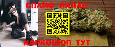 шишки Усть-Джегута
